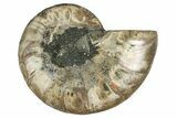 Cut & Polished Ammonite Fossil (Half) - Madagascar #344407-1